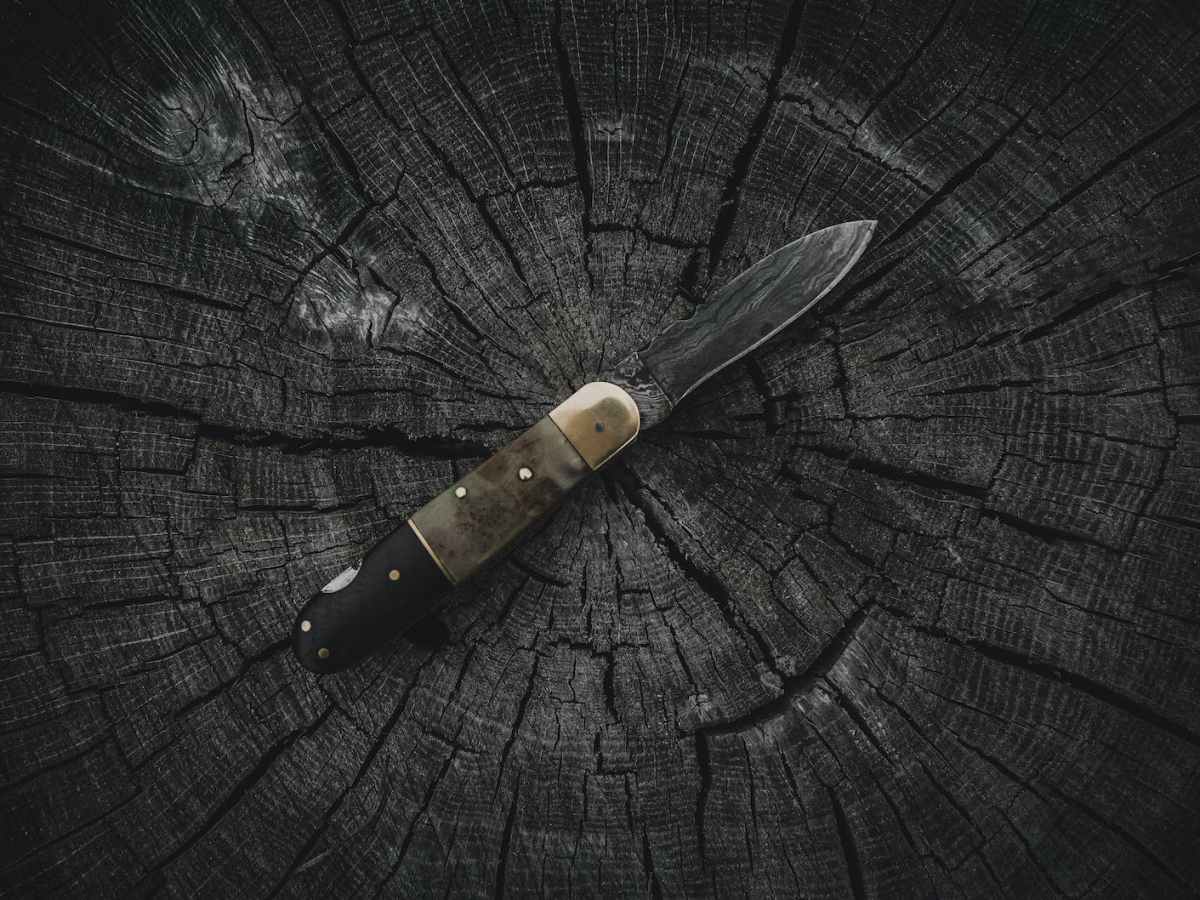 ARC Review – Sins of the&nbsp;Lines