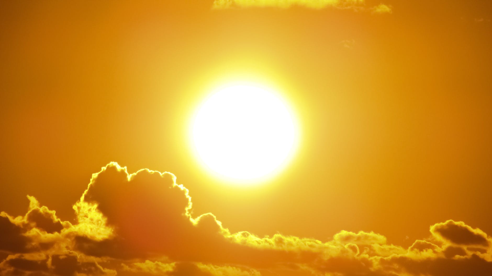 Book Review – Half of a Yellow Sun