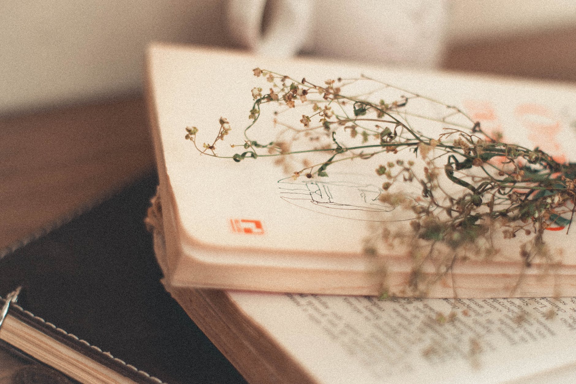 Current reads – September, October, and November