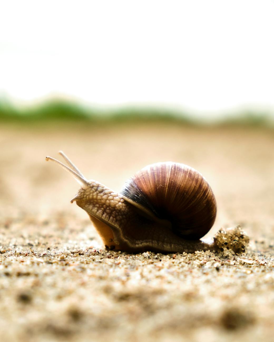 Learning in Public: What I’m working on Right Now (and Why I’m Taking It Slow)