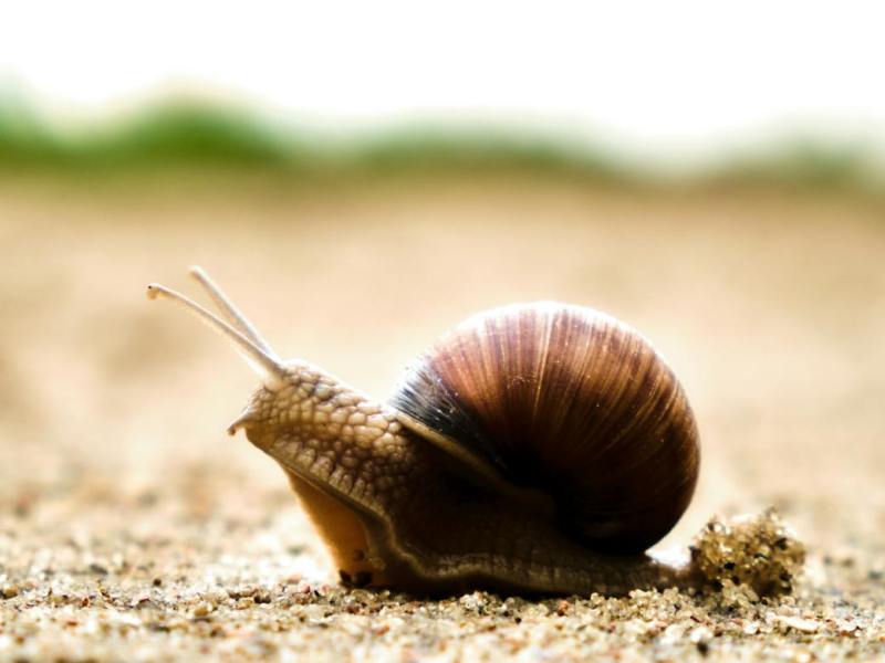 Learning in Public: What I’m working on Right Now (and Why I’m Taking It&nbsp;Slow)