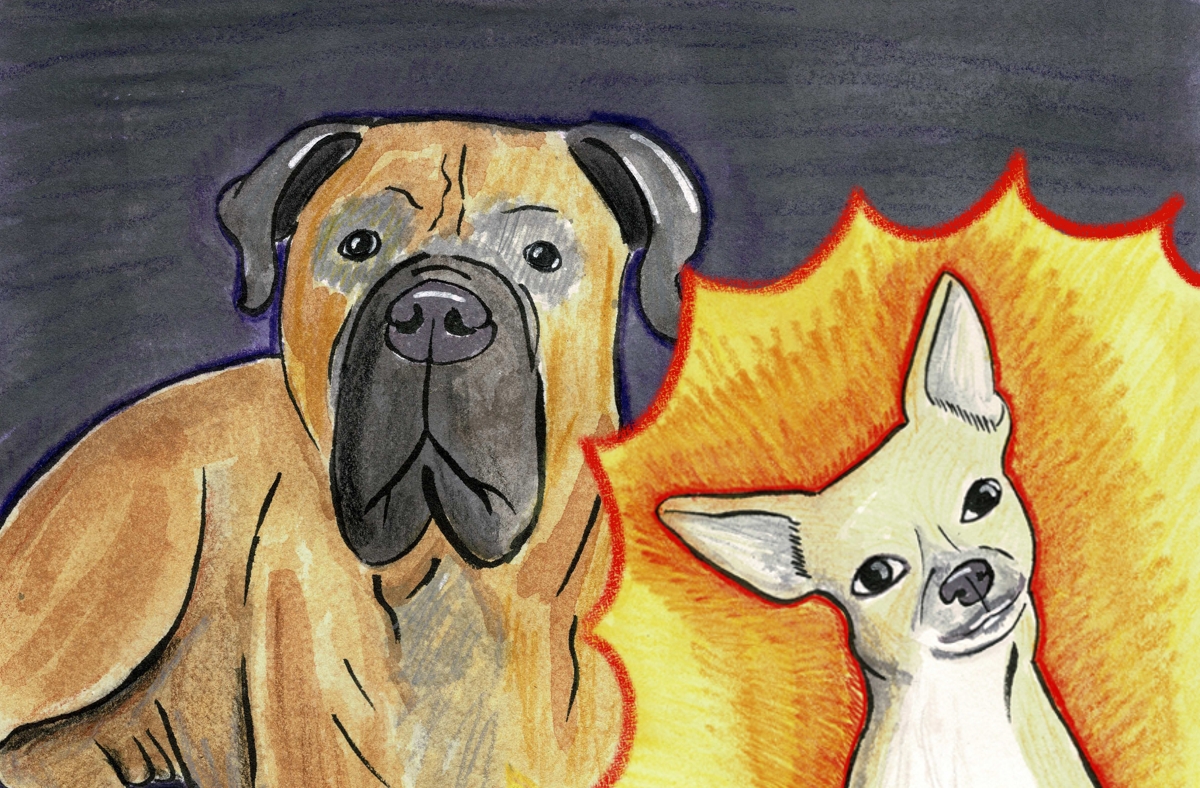 Dear Writer, Unfortunately… This Is What It’s Like Sending Work to Literary Journals